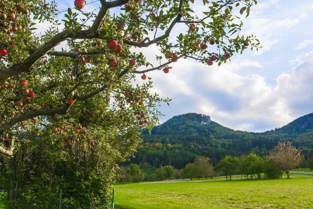 Zur alten Scheune Balingen Exterior foto