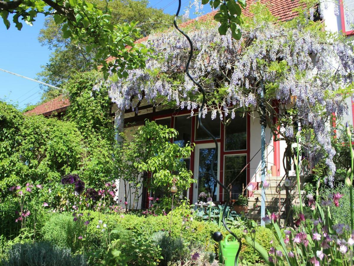 Zur alten Scheune Balingen Exterior foto