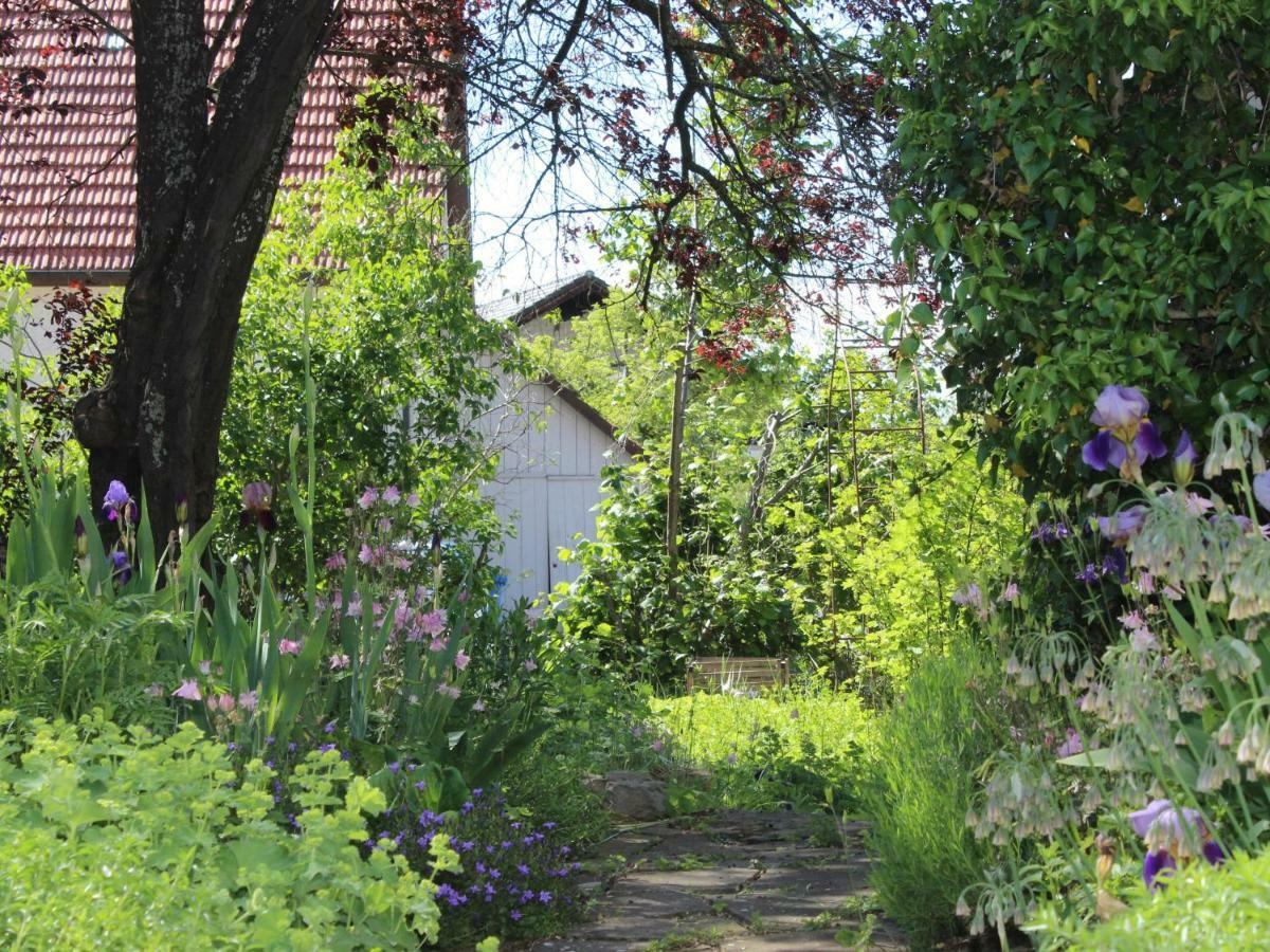 Zur alten Scheune Balingen Exterior foto