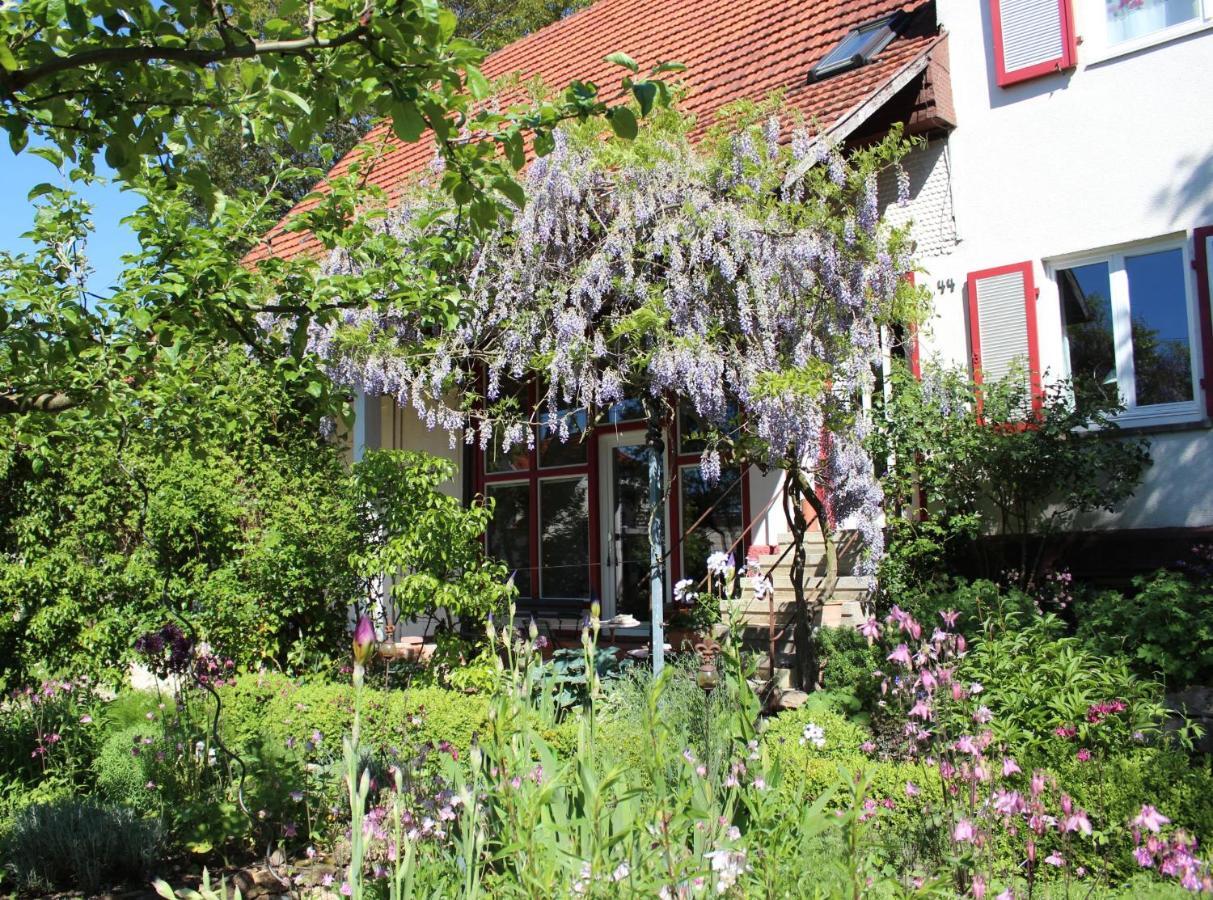 Zur alten Scheune Balingen Exterior foto